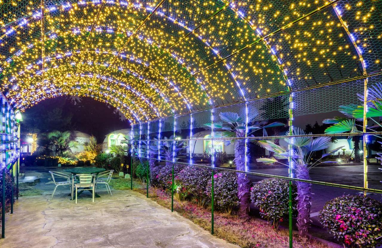 Domgrami Pension Seogwipo Esterno foto